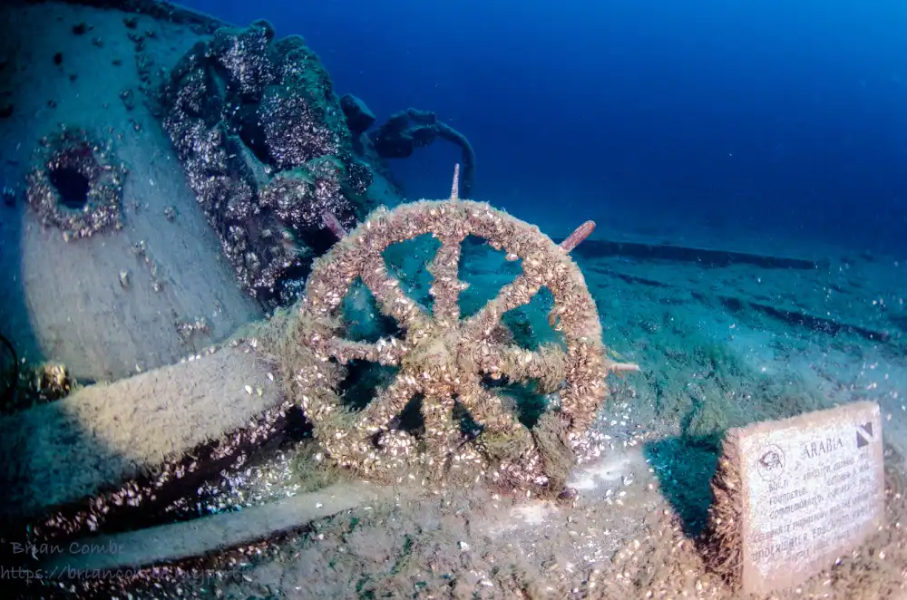 Arabia Shipwreck 3