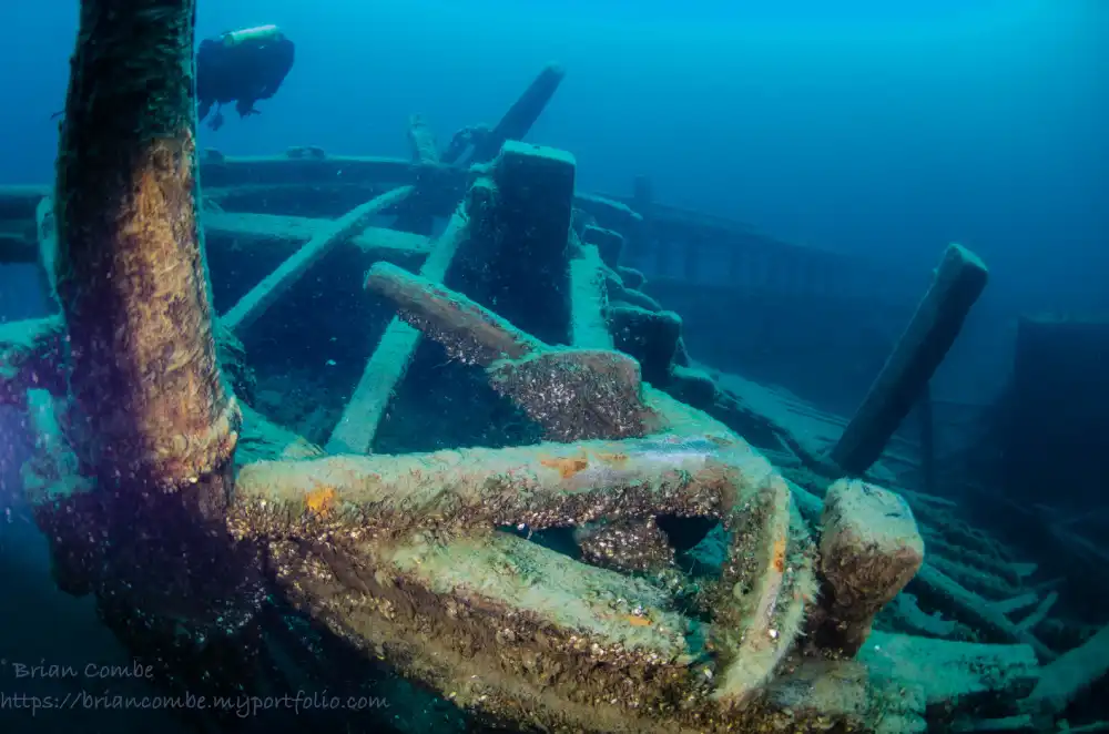 Arabia Shipwreck 5