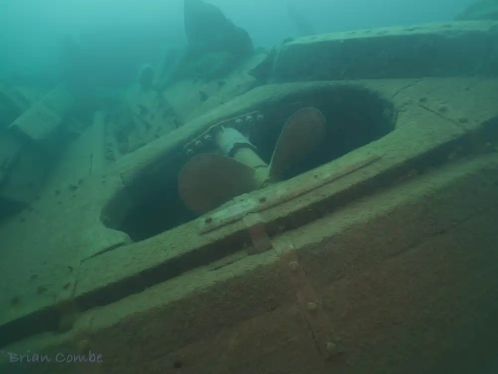 Caroline Rose Shipwreck 1