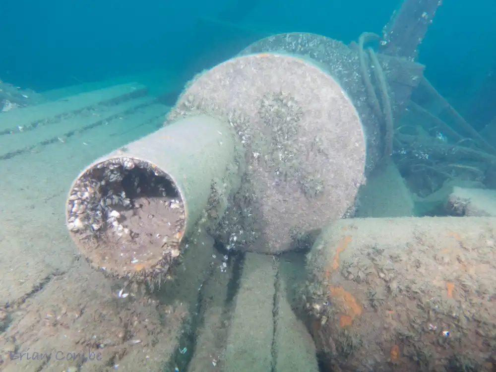 Caroline Rose Shipwreck 3
