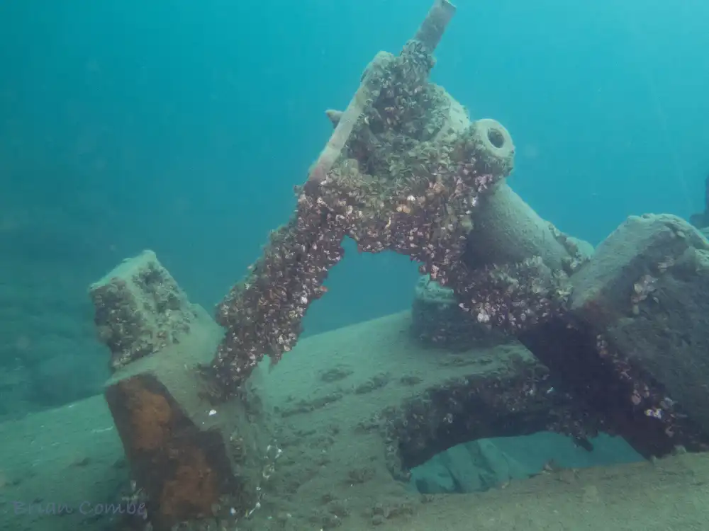Caroline Rose Shipwreck 4