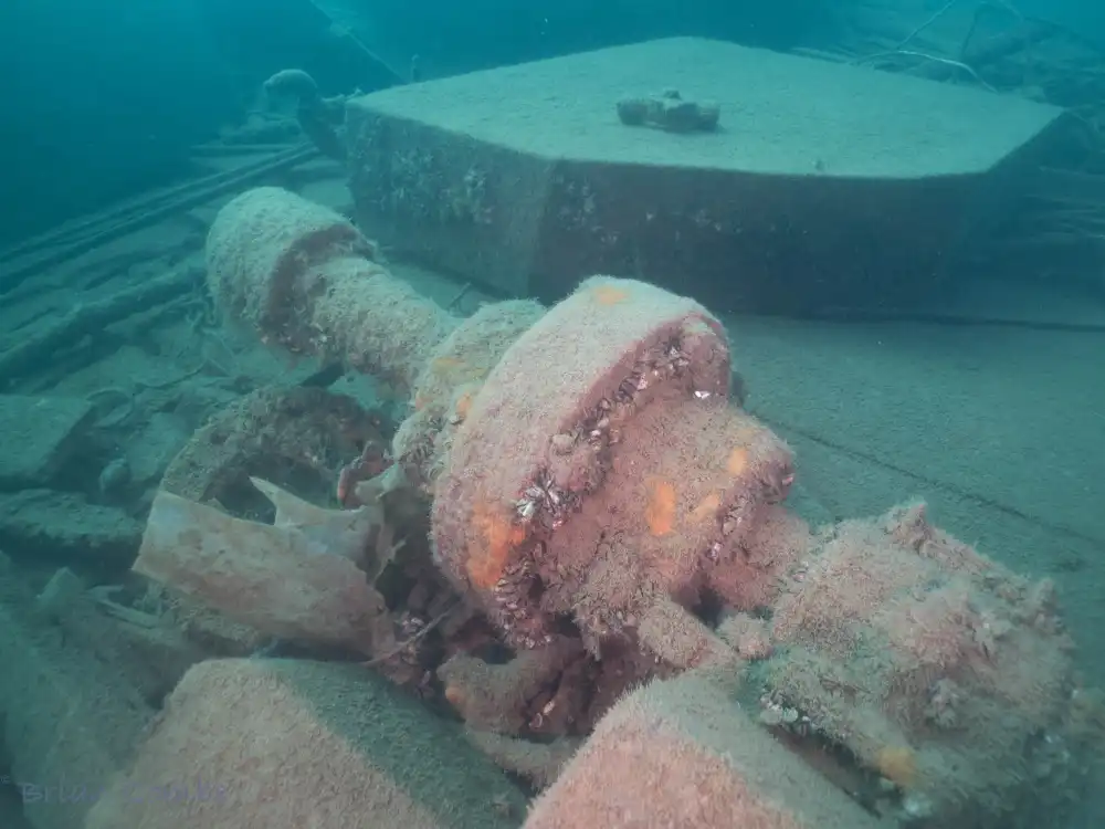 Caroline Rose Shipwreck 5