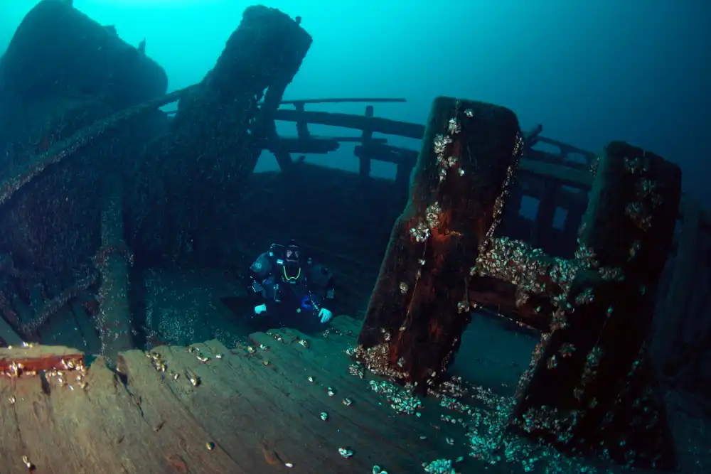 Forest City Shipwreck 4