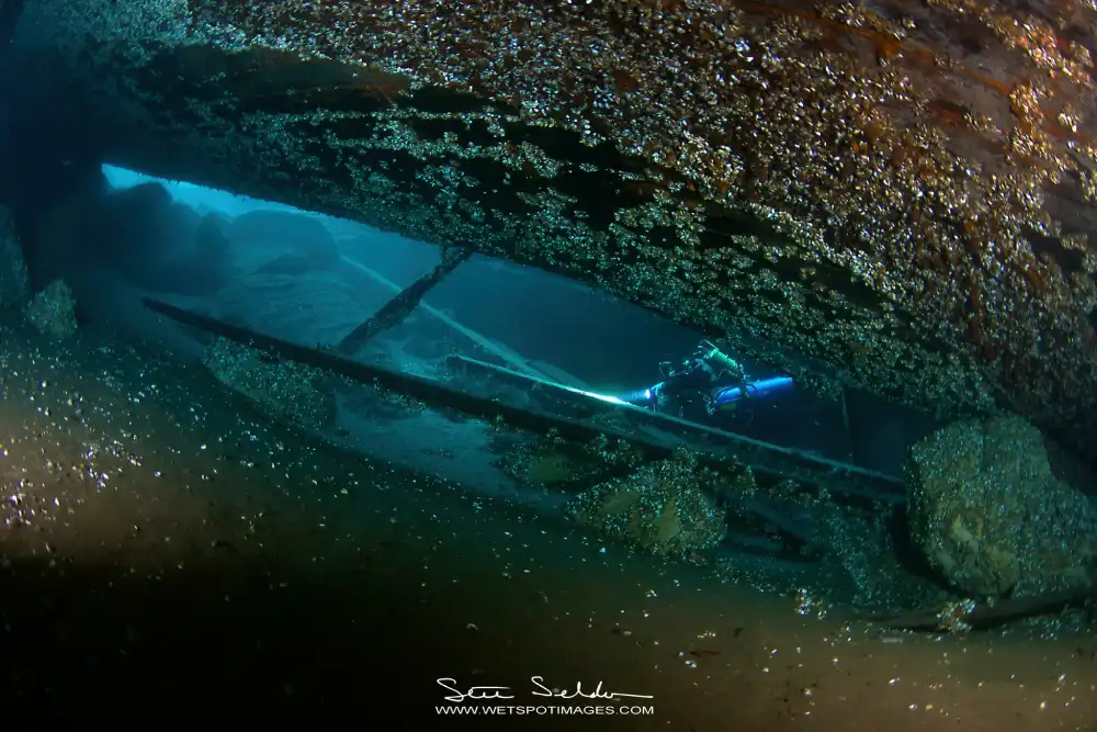 Forest City Shipwreck 2