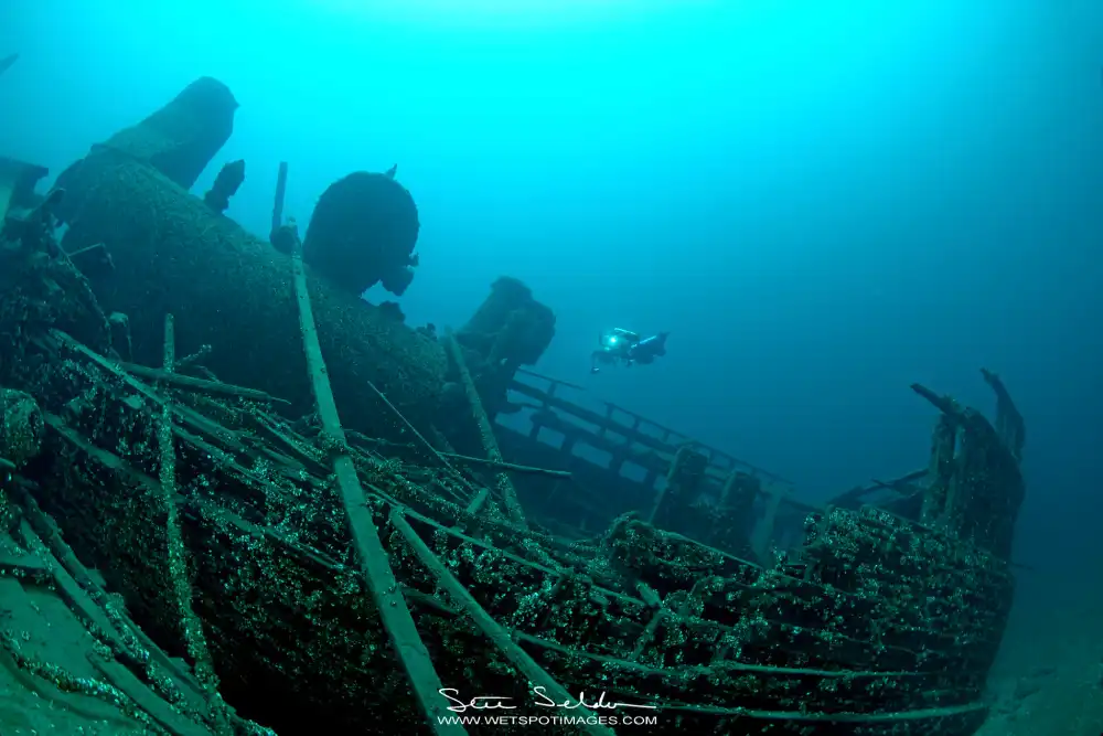 Forest City Shipwreck 3