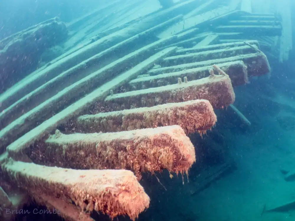 James C. King Shipwreck 4